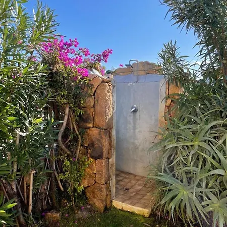 Flora Holiday home Tanaunella